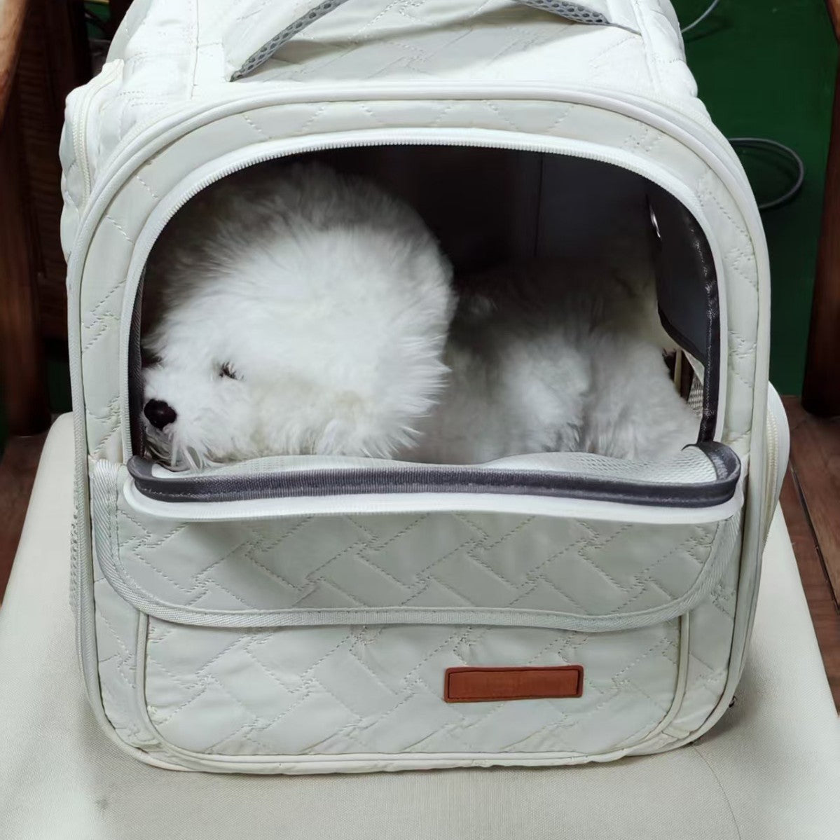 Winter Warm Dog Backpack – space-capsule Portable Breathable Nylon Pet Carrier Bag